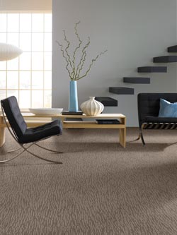 carpet flooring in owen sound